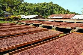 Grenada Chocolate Tours β business in Grenada